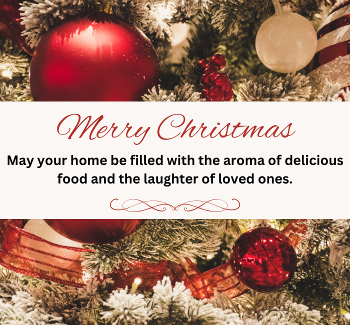 Happy Merry Christmas Your Family -  2025